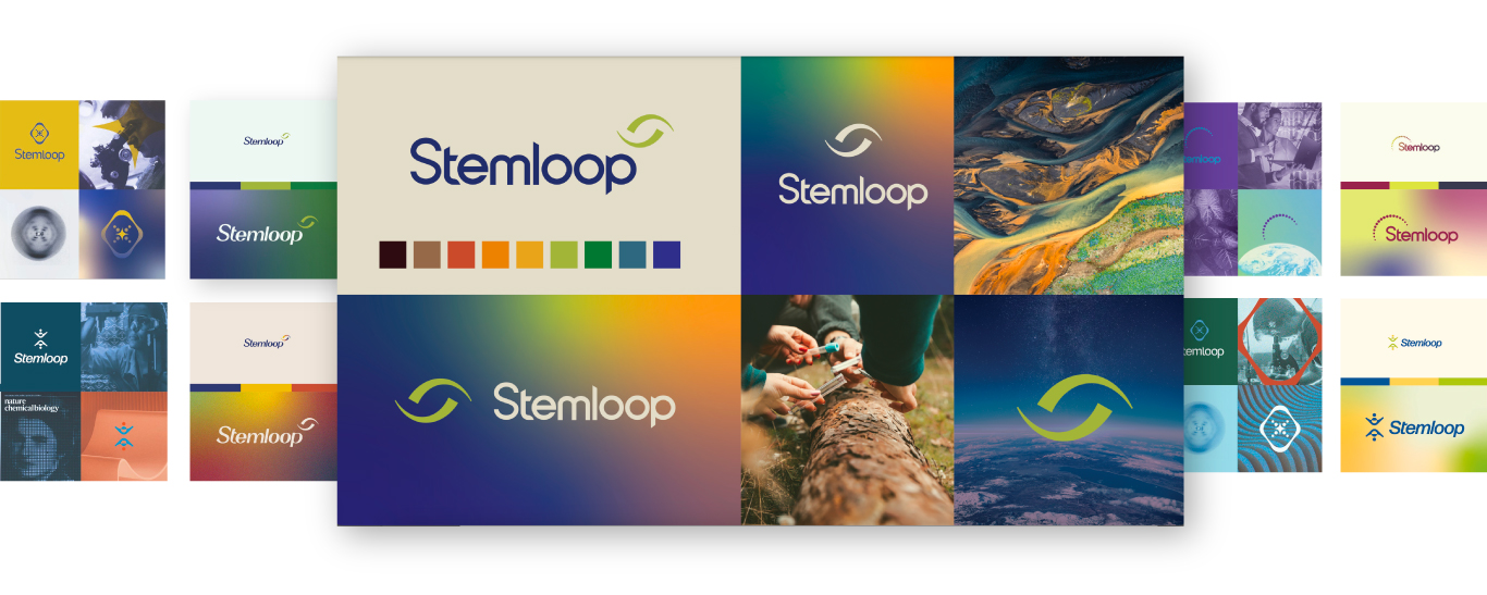 Final logo brand boards with evolution of color tests and photography for narrative