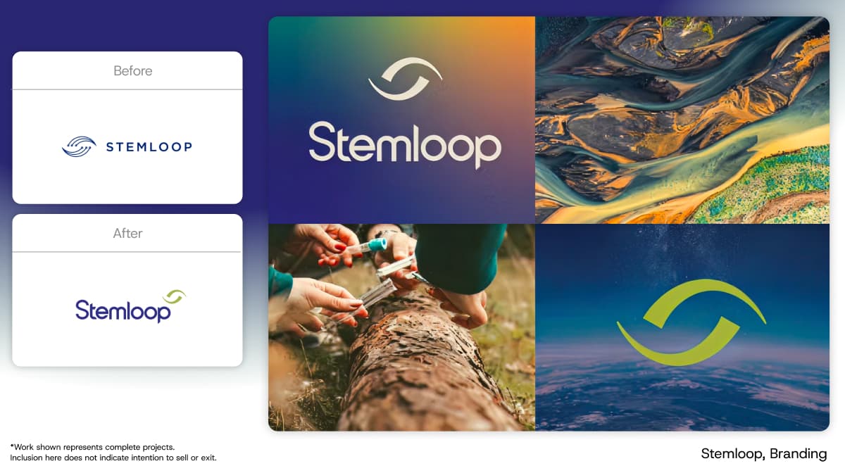 Stemloop art direction and branding completed to elevate their business value
