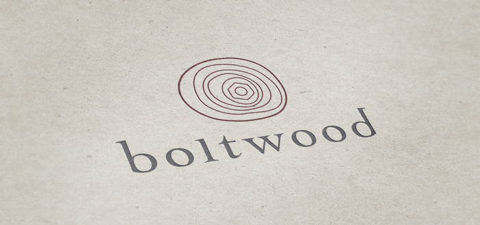 Boltwood-logo-texture